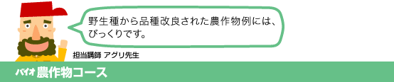 バイオ農作物コース