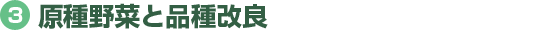 原種野菜と品種改良