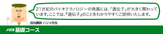 バイオ基礎コース