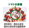 �C���X�g