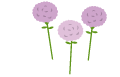 �C���X�g