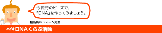 バイオDNAくらぶ活動