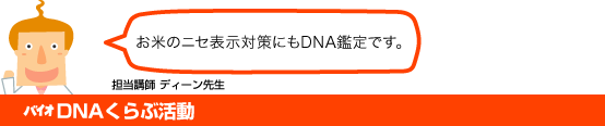 バイオDNAくらぶ活動
