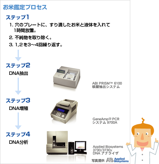 お米鑑定プロセス