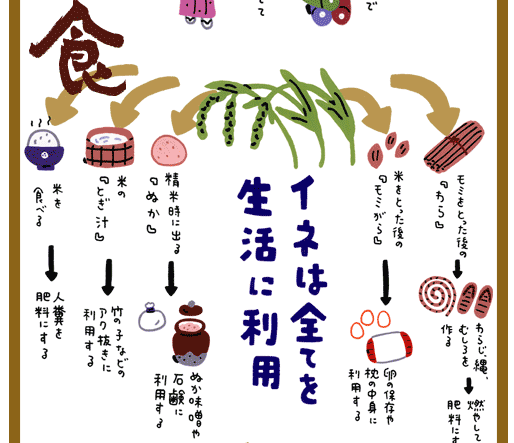 イネは全てを生活に利用