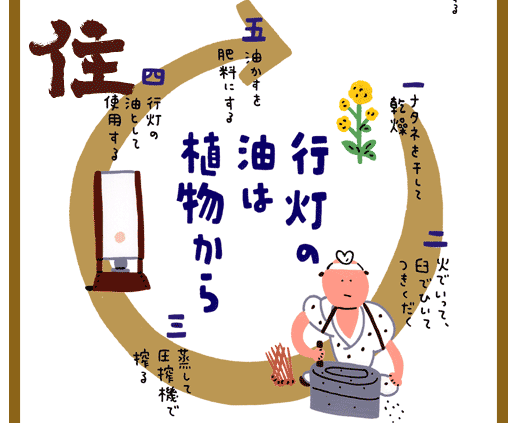行灯の油は植物から