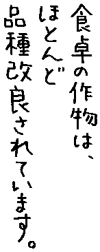 食卓の作物は、ほとんど品種改良されています。
